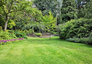 Optimiser l'expérience du jardin à Villevenard